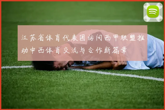 江苏省体育代表团访问西甲联盟推动中西体育交流与合作新篇章